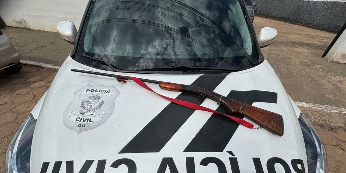 PCGO prende homem por posse ilegal de arma de fogo em propriedade rural de Crixás