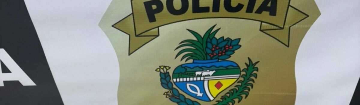 PCGO prende homem por subtração de incapaz e posse de munições em Aparecida de Goiânia