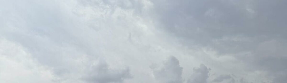 PCGO prende mãe e filho por comercialização irregular de pescado impróprio ao consumo em Piracanjuba