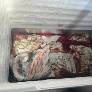 PCGO prende mãe e filho por comercialização irregular de pescado impróprio ao consumo em Piracanjuba