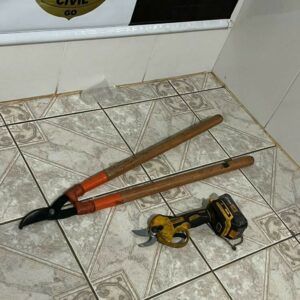 Polícia Civil prende em flagrante dois homens por furto qualificado em Goianápolis