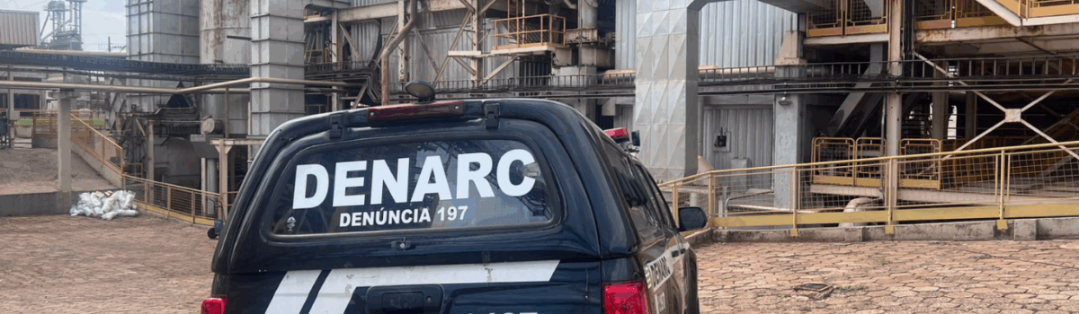 Operação Narke 5: PCGO incinera 5 toneladas de drogas apreendidas em Goiás