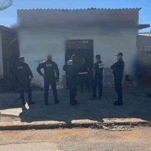 PCGO, GCM e Vigil&acirc;ncia Sanit&aacute;ria, em a&ccedil;&atilde;o conjunta, interditam dep&oacute;sito clandestino de ovos em Aparecida de Goi&acirc;nia