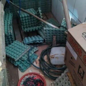 PCGO, GCM e Vigil&acirc;ncia Sanit&aacute;ria, em a&ccedil;&atilde;o conjunta, interditam dep&oacute;sito clandestino de ovos em Aparecida de Goi&acirc;nia