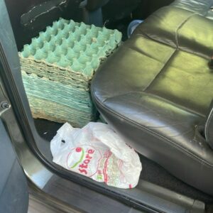 PCGO, GCM e Vigil&acirc;ncia Sanit&aacute;ria, em a&ccedil;&atilde;o conjunta, interditam dep&oacute;sito clandestino de ovos em Aparecida de Goi&acirc;nia