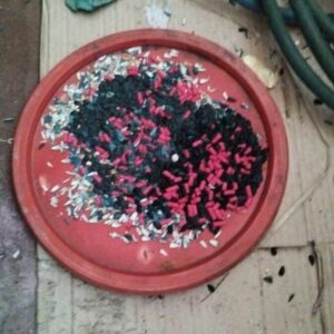 PCGO, GCM e Vigil&acirc;ncia Sanit&aacute;ria, em a&ccedil;&atilde;o conjunta, interditam dep&oacute;sito clandestino de ovos em Aparecida de Goi&acirc;nia