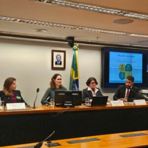 PCGO apresenta Programa de Identifica&ccedil;&atilde;o Neonatal em audi&ecirc;ncia p&uacute;blica na C&acirc;mara dos Deputados