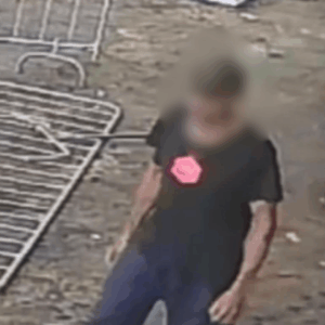 PCGO e PMGO, em ação conjunta, prendem investigado por homicídio de idoso de 88 anos em Brazabrantes