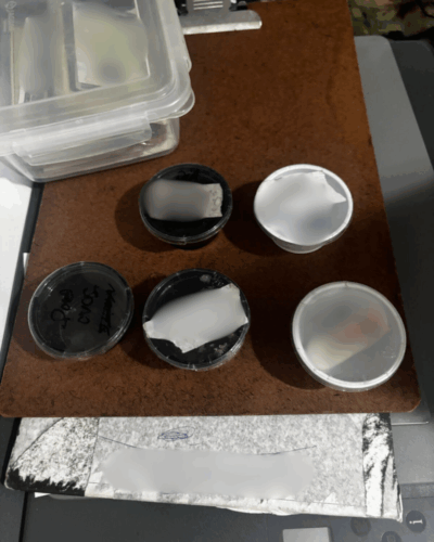 PCGO e Vigilância Sanitária fiscalizam instituição para idosos em Goiânia e constatam diversas irregularidades