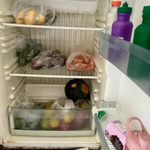 PCGO e Vigil&acirc;ncia Sanit&aacute;ria verificam irregularidades persistentes em ILPI da capital