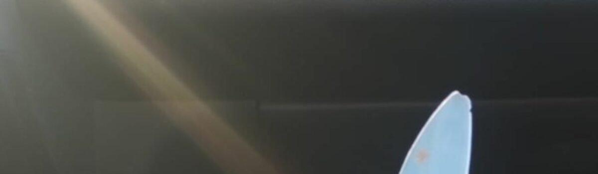 PCGO prende em flagrante homem que tentou matar ex-companheira a facadas, em Luziânia