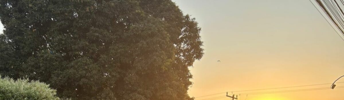 PCGO prende mulher por furto qualificado, desacato e resistência em Goiânia