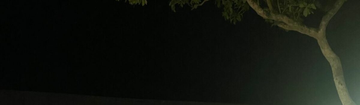 PCGO recupera gaiola de transporte de gado roubada e apreende arma de fogo