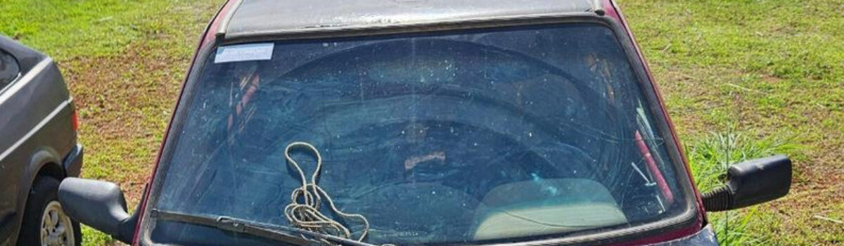 PCGO recupera veículo furtado em menos de 24 horas em São Miguel do Passa Quatro