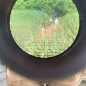 GT3 conquistam primeiro lugar em curso realizado pelo Ex&eacute;rcito Brasileiro&nbsp;