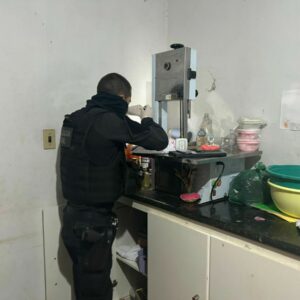 Opera&ccedil;&atilde;o integrada prende autor por posse ilegal de arma de fogo de uso restrito em Indiara