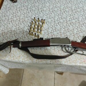 Opera&ccedil;&atilde;o integrada prende autor por posse ilegal de arma de fogo de uso restrito em Indiara