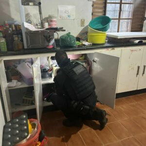 Opera&ccedil;&atilde;o integrada prende autor por posse ilegal de arma de fogo de uso restrito em Indiara