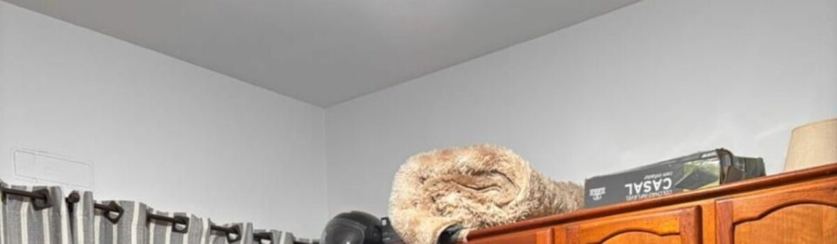 PCGO desarticula esquema de desvio e venda clandestina de componentes de indústria de Rio Verde