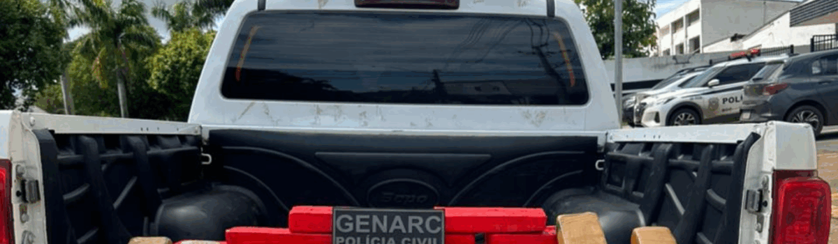 PCGO cumpre 22 mandados e apreende carga de drogas avaliada em R$ 450 mil