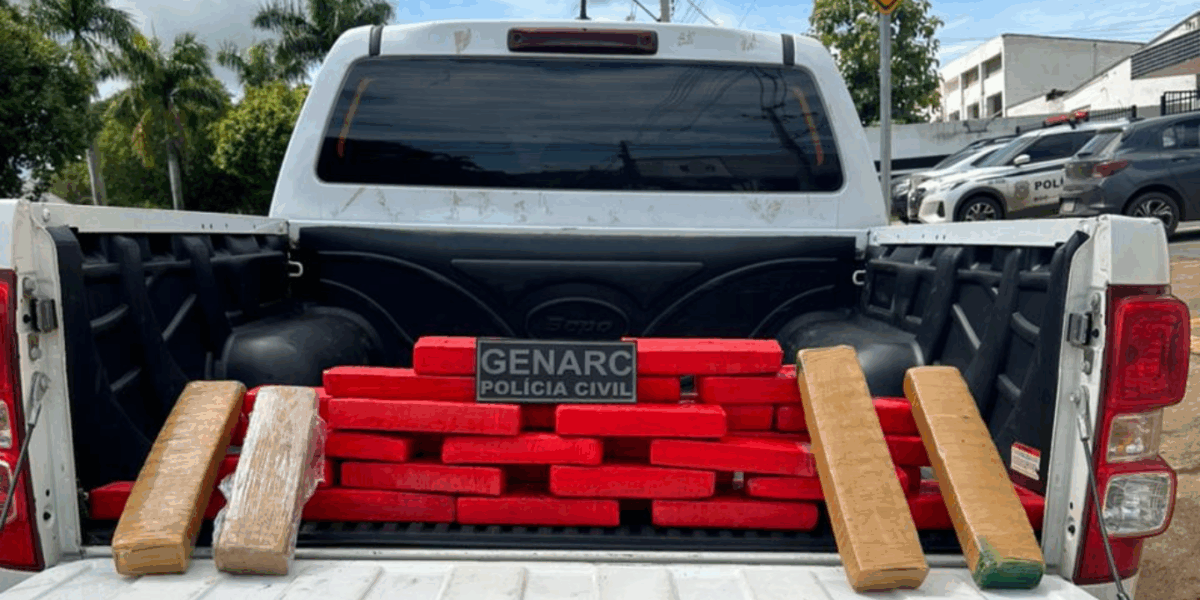 PCGO cumpre 22 mandados e apreende carga de drogas avaliada em R$ 450 mil