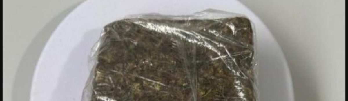 PCGO cumpre mandados e prende investigado por tráfico em Campos Belos