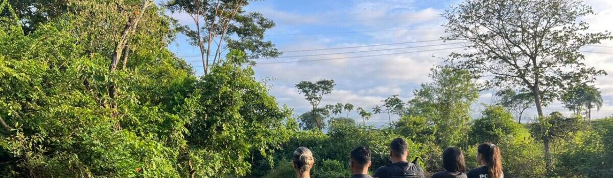 PCGO cumpre mandados em investigação sobre furto e venda de trator em Rio Verde e Santa Helena