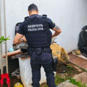 PCGO deflagra Opera&ccedil;&atilde;o &ldquo;Falso Sinistro&rdquo; contra grupo especializado em golpes de seguro e adultera&ccedil;&atilde;o de ve&iacute;culos