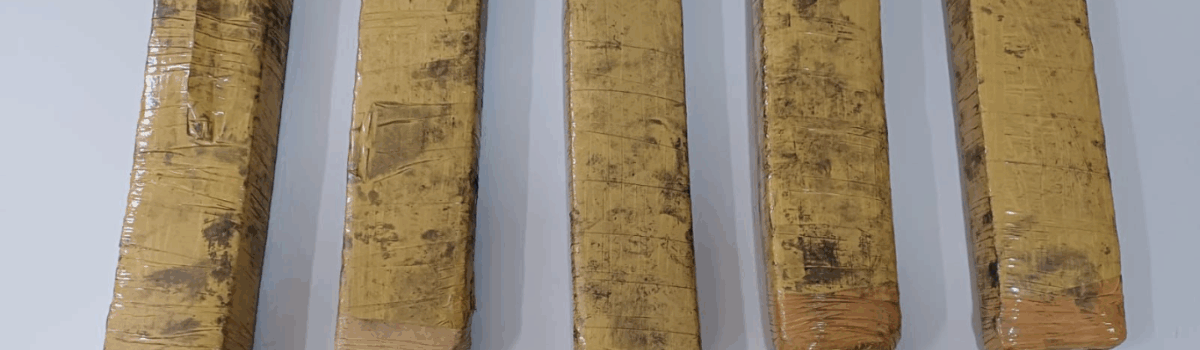 PCGO localiza imóvel utilizado como depósito e apreende drogas em Formosa