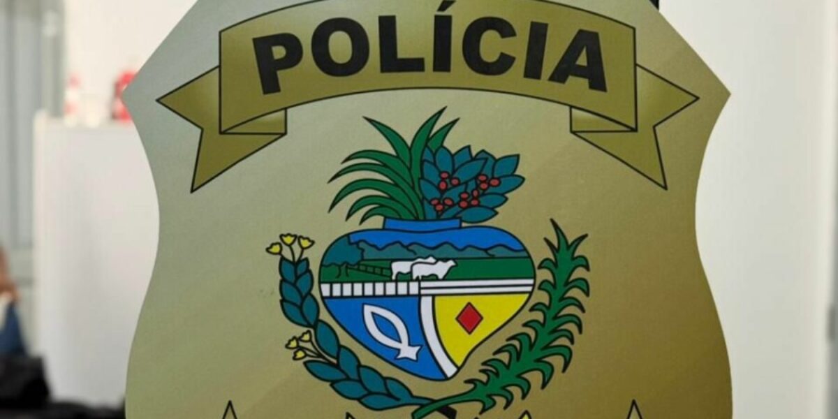 PCGO prende em flagrante homem por posse irregular de arma de fogo em Uruaçu