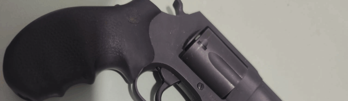 PCGO prende empresário por estelionato na venda de veículos e apreende arma de uso restrito em Aparecida de Goiânia