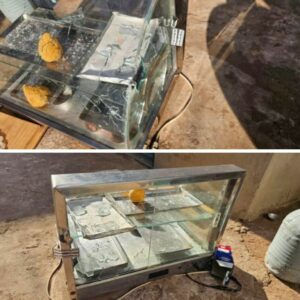 PCGO prende homem por tentativa de homic&iacute;dio contra dono de lanchonete em Itumbiara