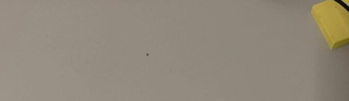 PCGO prende suspeito de invadir residência, ameaçar ex-companheira e agredir filho da vítima em Luziânia