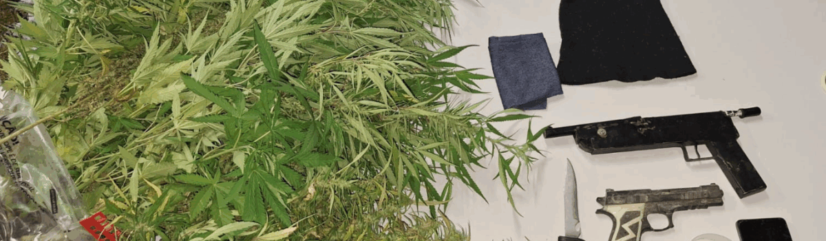 PCGO prende suspeito de roubos em pontos de ônibus e apreende arma artesanal e drogas em Santo Antônio do Descoberto