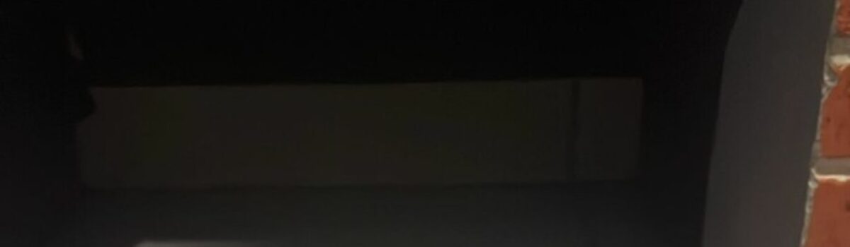 Polícia Civil resgata cão abandonado e investiga responsável pelo crime de maus-tratos