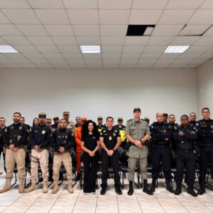 Pol&iacute;cia Civil participa de opera&ccedil;&atilde;o integrada pela seguran&ccedil;a no tr&acirc;nsito, em Rio Verde