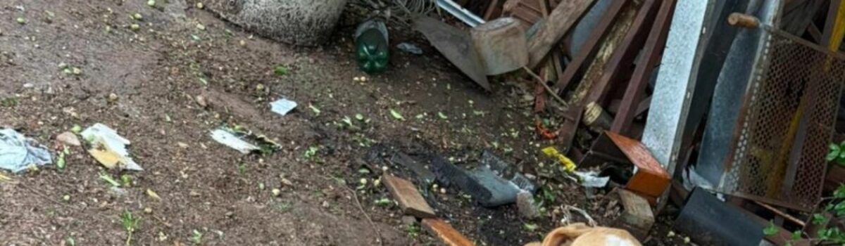 Polícia Civil prende tutor que mantinha cachorros sem água e comida, em Jataí