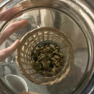 Opera&ccedil;&atilde;o Regresso II: PCGO cumpre mandados e prende suspeitos de tr&aacute;fico em quatro cidades goianas