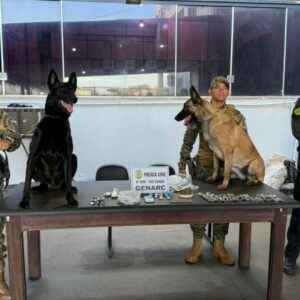 Opera&ccedil;&atilde;o Regresso II: PCGO cumpre mandados e prende suspeitos de tr&aacute;fico em quatro cidades goianas