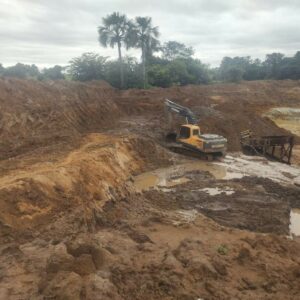 Opera&ccedil;&atilde;o integrada prende quatro pessoas por extra&ccedil;&atilde;o de ouro e outros crimes ambientais em Faina