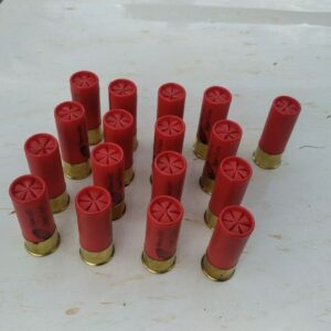 PCGO apreende armas e muni&ccedil;&otilde;es, em Cocalzinho, e procura por foragido