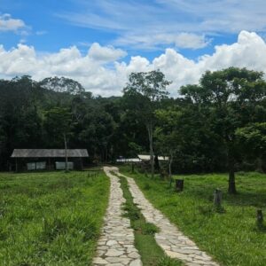 PCGO apreende armas e muni&ccedil;&otilde;es, em Cocalzinho, e procura por foragido