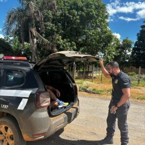 PCGO prende homem em flagrante por amea&ccedil;a, persegui&ccedil;&atilde;o e dano no contexto de viol&ecirc;ncia dom&eacute;stica, em Luzi&acirc;nia