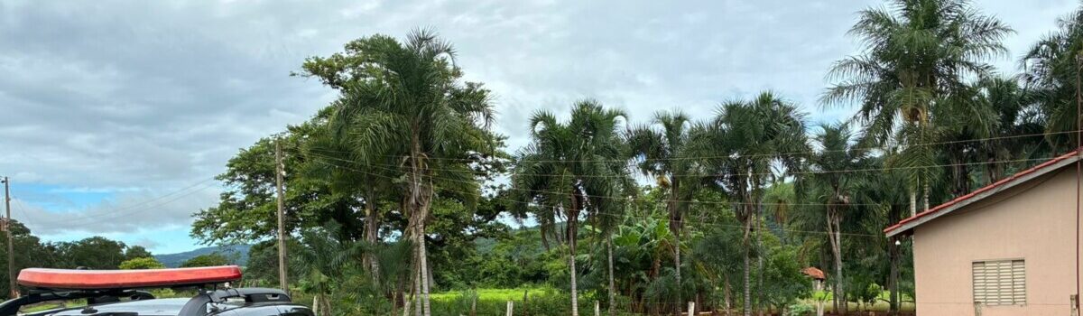 PCGO prende homem em flagrante por maus-tratos e morte de animais na zona rural de Iporá