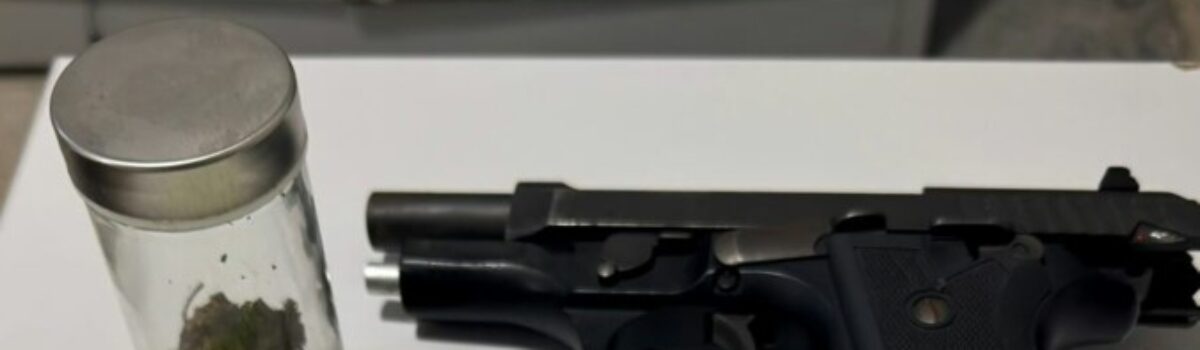 PCGO prende homem em flagrante por posse ilegal de arma de uso restrito e tráfico de drogas