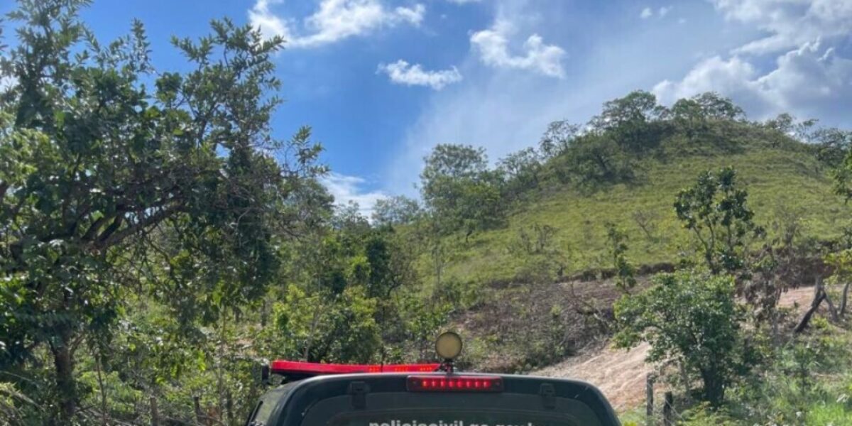 PCGO prende investigado por furto de 30 bovinos avaliados em R$ 350 mil, em Vila Boa