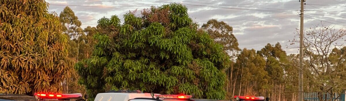 Polícia Civil prende suspeito de dupla tentativa de homicídio ocorrida em distribuidora de bebidas de Catalão