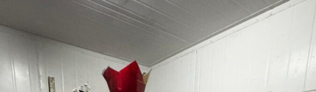 Operação Peso Zero investiga venda irregular de canetas emagrecedoras por dono de floricultura em Goiânia