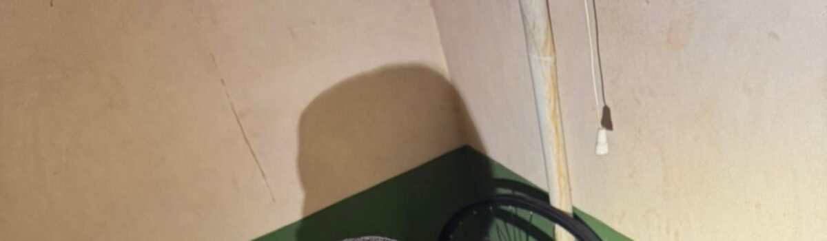 PCGO apreende arma de fogo durante investigação de violência doméstica em Mambaí