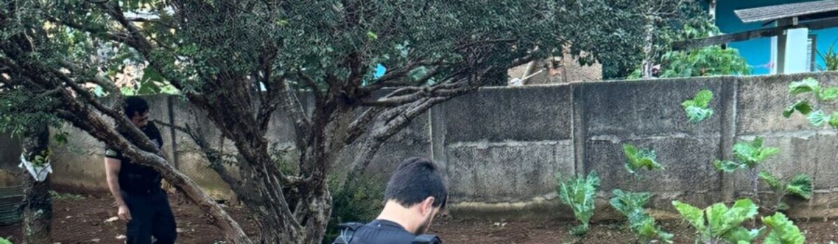 Operação Dupla Safra cumpre buscas e investiga o uso de plantação de hortaliças para operar o tráfico de drogas